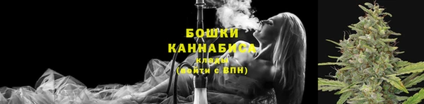 индика Одинцово